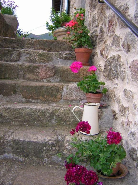 Mas Casta Nea Panzió Thueyts Kültér fotó